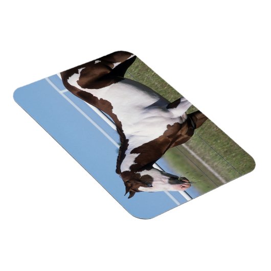 Paint Horse Magneet (Rechterzijde)