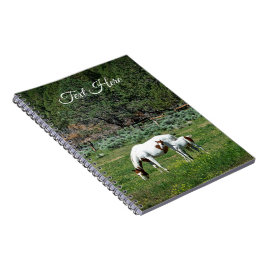 Paint Horse Mare en Veulen gepersonaliseerd Notitieboek