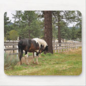 Paint Horse Mousepad Muismat (Voorkant)