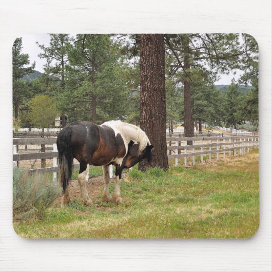 Paint Horse Mousepad Muismat (Voorkant)