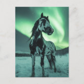Paint Horse Noorderlicht Briefkaart (Voorkant)