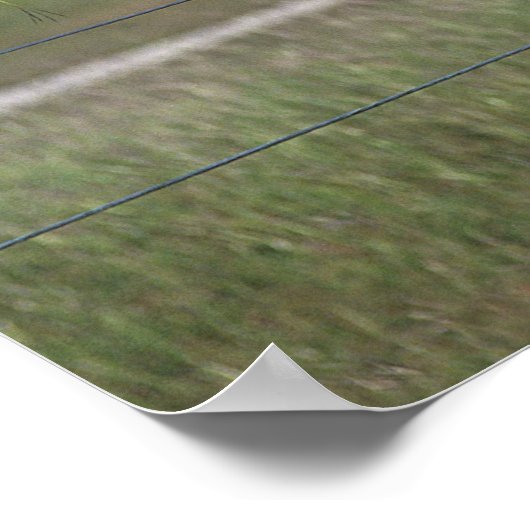 Paint Horse Poster (Hoek)