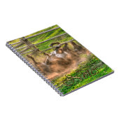 Paint Horse Rolling in Dust Funny Equine Photo Notitieboek (Rechterzijde)