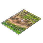 Paint Horse Rolling in Dust Funny Equine Photo Notitieboek (Linkerzijde)