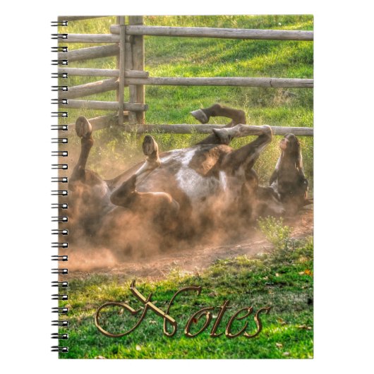 Paint Horse Rolling in Dust Funny Equine Photo Notitieboek (Voorkant)