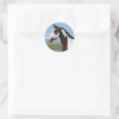 Paint Horse Ronde Sticker (Tas)