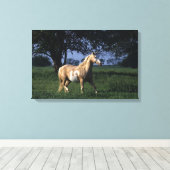 Paint Horse Standing 2 Canvas Afdruk (Insitu (Houten vloer))