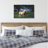 Paint Horse Standing 2 Canvas Afdruk (Insitu (Slaapkamer))