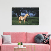 Paint Horse Standing 2 Canvas Afdruk (Insitu (Woonkamer))