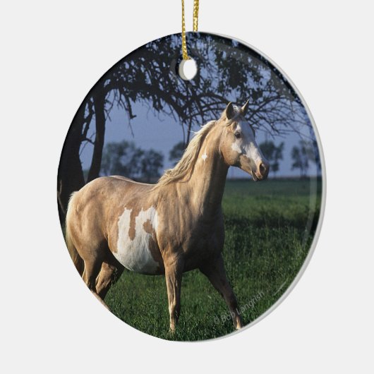 Paint Horse Standing 2 Keramisch Ornament (Links)