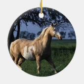 Paint Horse Standing 2 Keramisch Ornament (Achterkant)