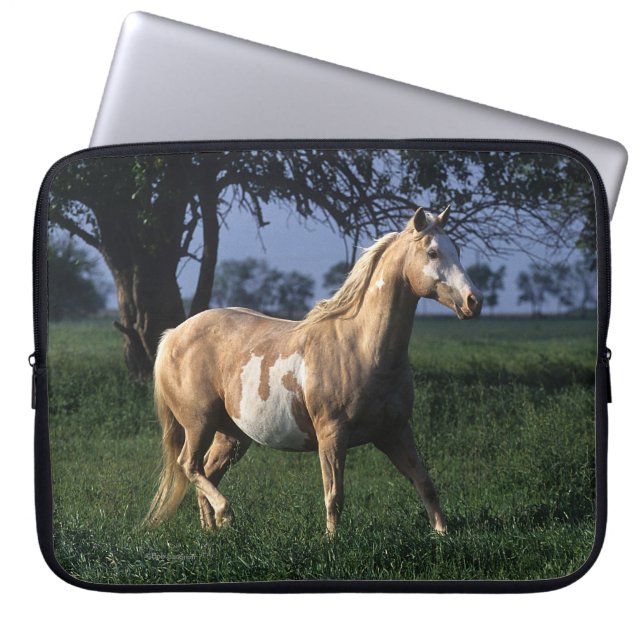Paint Horse Standing 2 Laptop Sleeve (Voorkant)