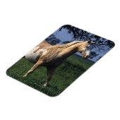 Paint Horse Standing 2 Magneet (Linkerzijde)