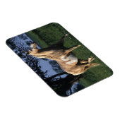 Paint Horse Standing 2 Magneet (Rechterzijde)