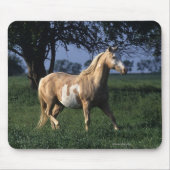 Paint Horse Standing 2 Muismat (Voorkant)