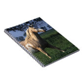 Paint Horse Standing 2 Notitieboek (Rechterzijde)