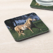 Paint Horse Standing 2 Onderzetter (Linkerzijde)