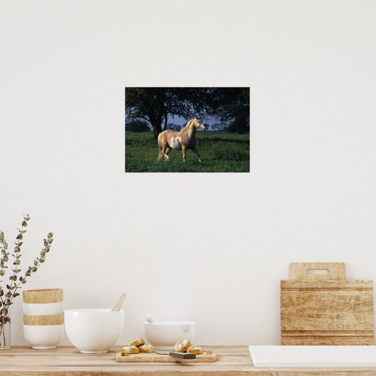 Paint Horse Standing 2 Poster (Keuken)