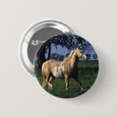 Paint Horse Standing 2 Ronde Button 5,7 Cm (Voorkant /achterkant)