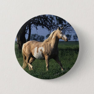 Paint Horse Standing 2 Ronde Button 5,7 Cm