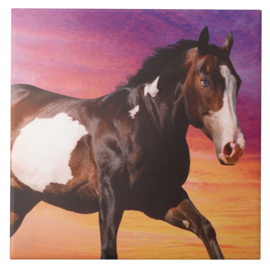 Paint Horse Sunrise Tile Tegeltje (Voorkant)