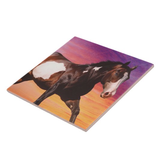Paint Horse Sunrise Tile Tegeltje (Zijkant)