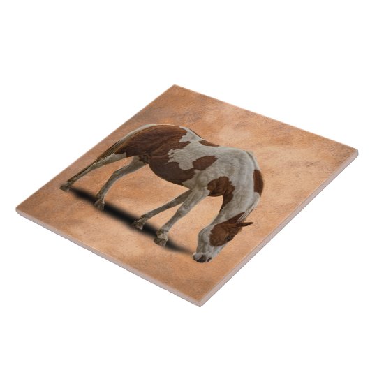 PAINT HORSE TEGELTJE (Zijkant)