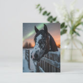 Paint Horse Winter Noorderlicht Briefkaart (Staand voorkant)