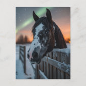 Paint Horse Winter Noorderlicht Briefkaart (Voorkant)