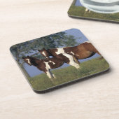 Paint Mare en Foal Bier Onderzetter (Linkerzijde)
