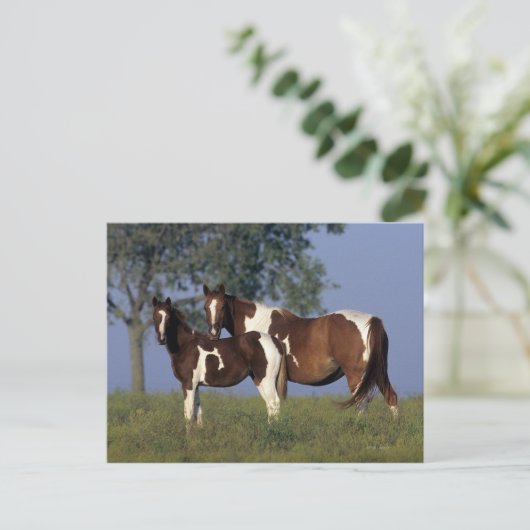Paint Mare en Foal Briefkaart (Staand voorkant)