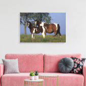 Paint Mare en Foal Canvas Afdruk (Insitu (Woonkamer))