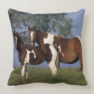 Paint Mare en Foal Kussen