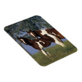 Paint Mare en Foal Magneet (Rechterzijde)