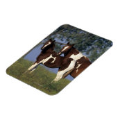Paint Mare en Foal Magneet (Linkerzijde)