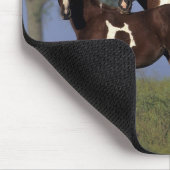 Paint Mare en Foal Muismat (Hoek)