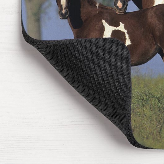 Paint Mare en Foal Muismat (Hoek)