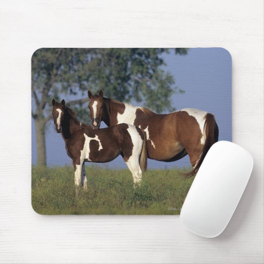 Paint Mare en Foal Muismat (Met muis)