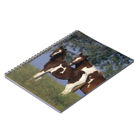 Paint Mare en Foal Notitieboek (Linkerzijde)