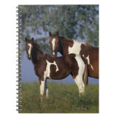 Paint Mare en Foal Notitieboek (Voorkant)