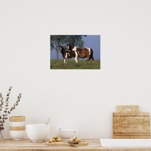 Paint Mare en Foal Poster (Keuken)