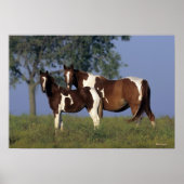 Paint Mare en Foal Poster (Voorkant)