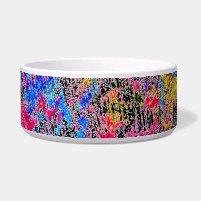 Paint Pet Bowl Voerbakje (Voorkant)