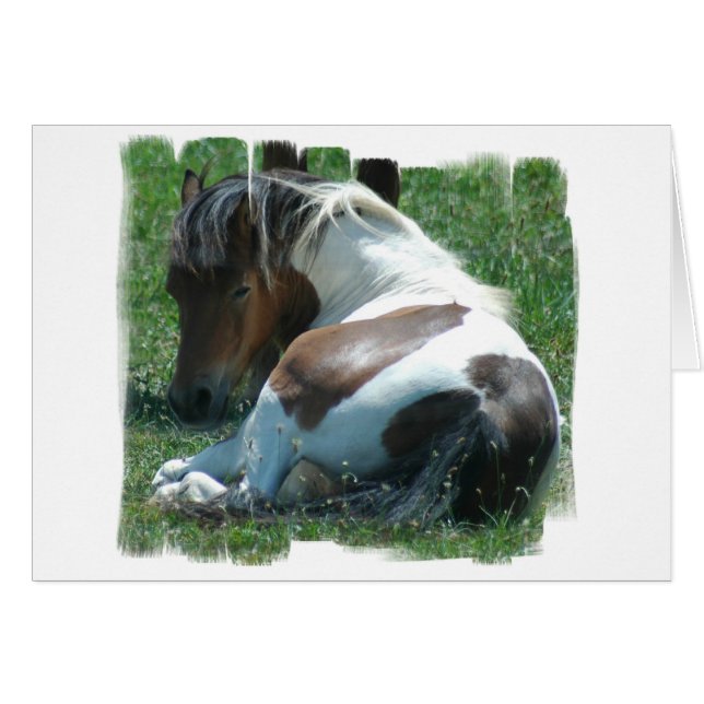 Paint Pony Resting Card (Voorkant Horizontaal)
