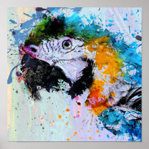 Paint Splash Parrot Afdrukken Poster