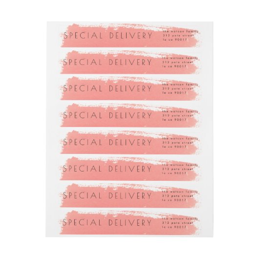 Paint Splash Special Delivery Birth Announcement (Vel)