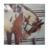 Paint Tegeltje (Voorkant)