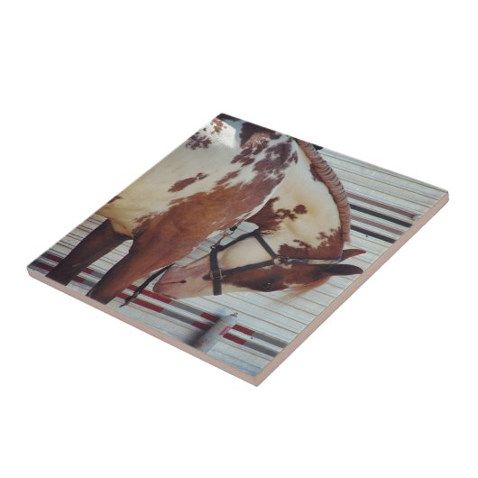 Paint Tegeltje (Zijkant)