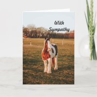 Paint Work Horse Sympathy Card