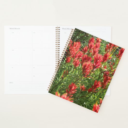 Paintbrush Planner (Display)